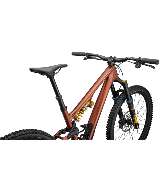 Specialized Stumpjumper 15 Öhlins Coil - Satin Copper Speckle / Satin Silver Dust