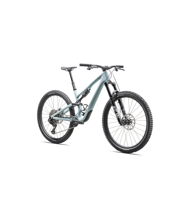 Specialized Stumpjumper 15 Comp - Gloss Seafoam / Silver Dust