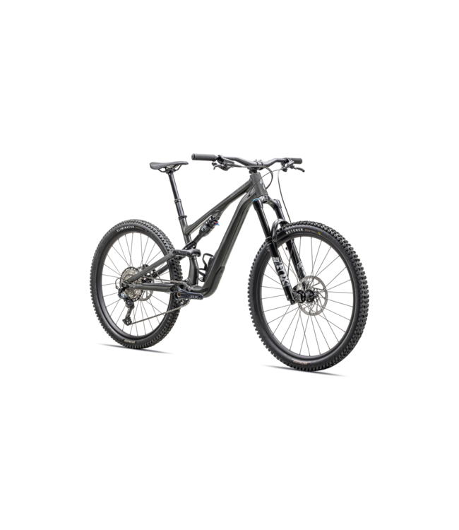 Specialized Stumpjumper 15 Comp Alloy - Gloss Smoke / Cool Grey