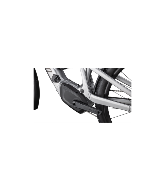 Specialized Turbo Tero X 4.0 - Silver Dust / Smoke