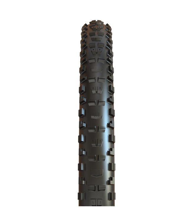 Maxxis Minion DHR II Tyres