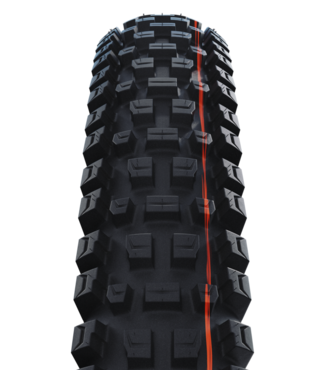 Schwalbe Albert Radial Tyre