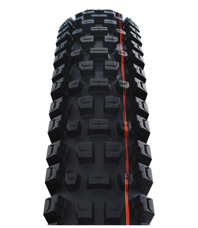 Schwalbe Albert Radial Tyre