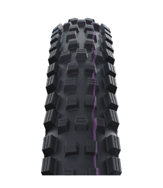 Schwalbe Magic Mary Radial Tyre