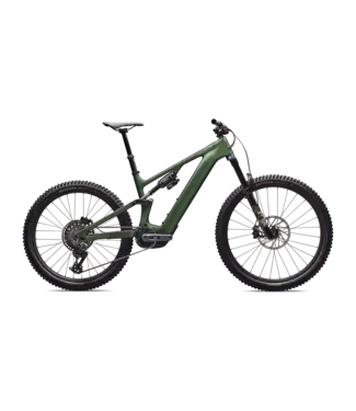 Specialized Turbo Levo 4 Expert - Gloss Cypress Metallic / Silver Dust