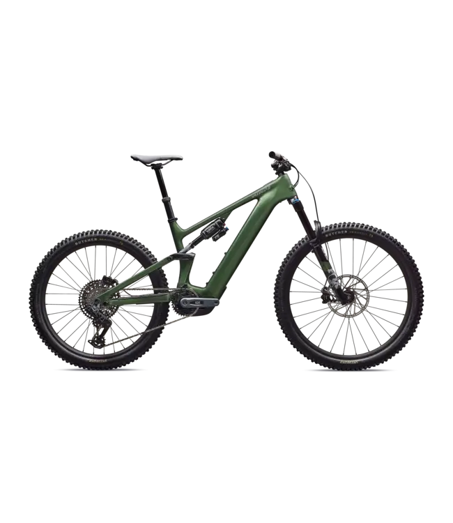 Specialized Turbo Levo Expert G4 - Gloss Cypress Metallic / Silver Dust