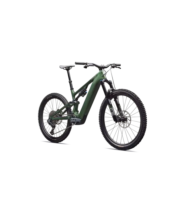 Specialized Turbo Levo Expert G4 - Gloss Cypress Metallic / Silver Dust