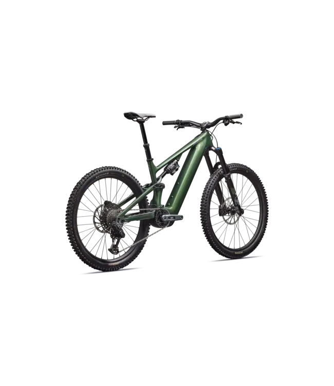 Specialized Turbo Levo Expert G4 - Gloss Cypress Metallic / Silver Dust