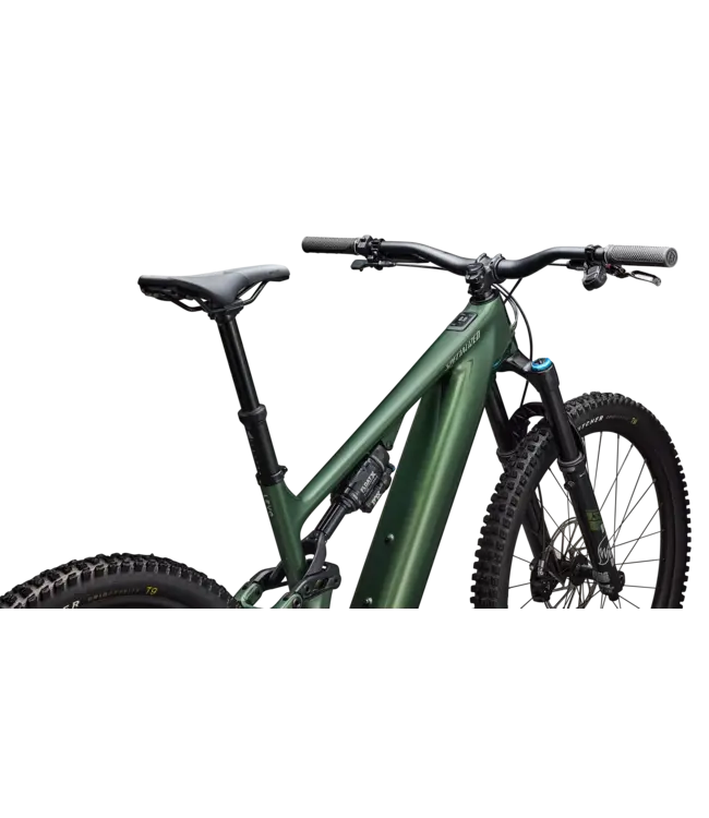 Specialized Turbo Levo Expert G4 - Gloss Cypress Metallic / Silver Dust