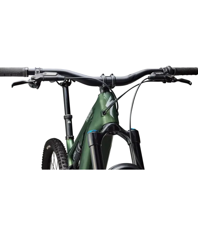 Specialized Turbo Levo Expert G4 - Gloss Cypress Metallic / Silver Dust