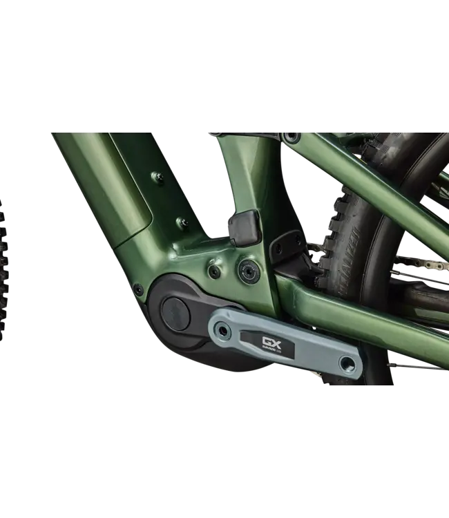 Specialized Turbo Levo Expert G4 - Gloss Cypress Metallic / Silver Dust