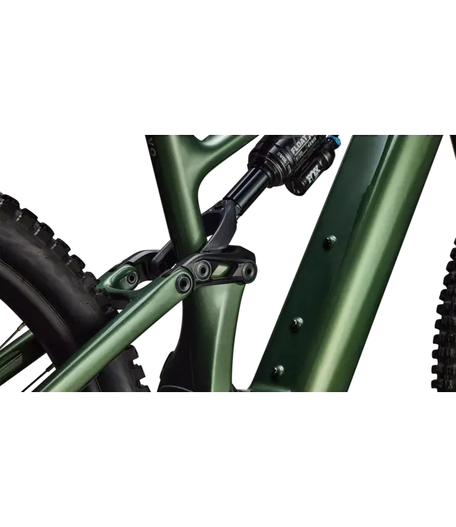 Specialized Turbo Levo Expert G4 - Gloss Cypress Metallic / Silver Dust