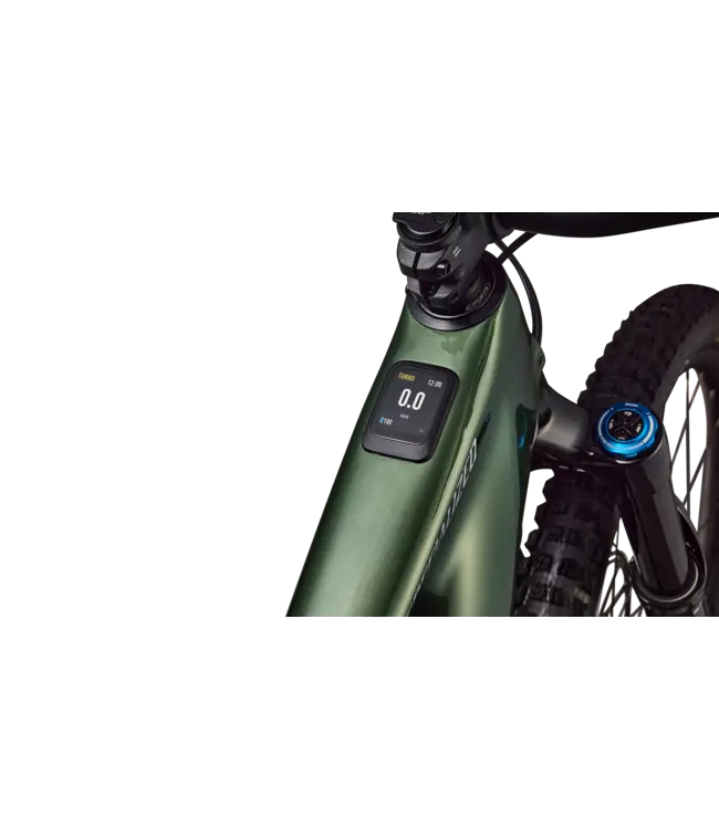 Specialized Turbo Levo Expert G4 - Gloss Cypress Metallic / Silver Dust