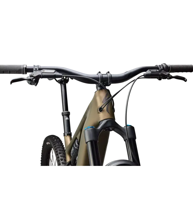 Specialized Turbo Levo 4 Expert - Satin Burnt Gold Metallic / Doppio