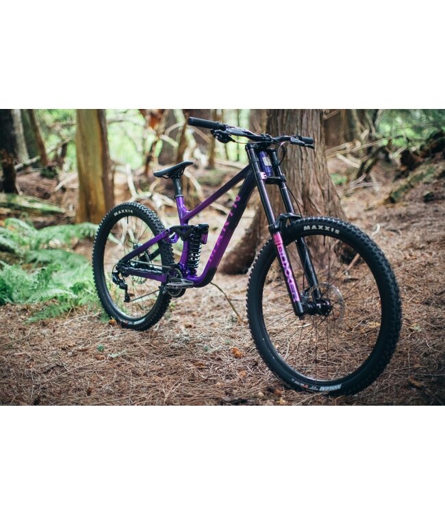 Marin Quake - Purple / Violet Fade