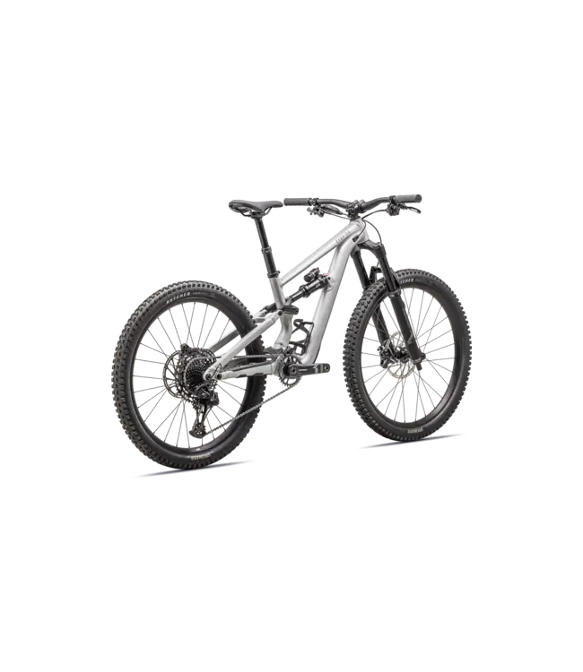 Specialized Status 2 140 Zero - Satin Aluminum / Obsidian