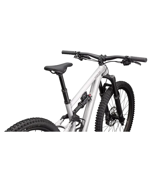 Specialized Status 2 140 Zero - Satin Aluminum / Obsidian