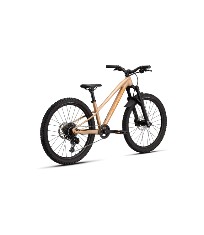 Specialized Riprock Comp 24 - Gloss Photon Tint Over Flake Silver / Orange Zest 24