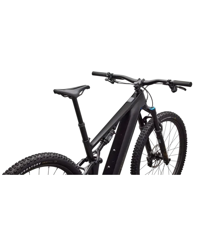 Specialized Turbo Levo R Expert - Gloss Carbon / Burnt Gold Metallic