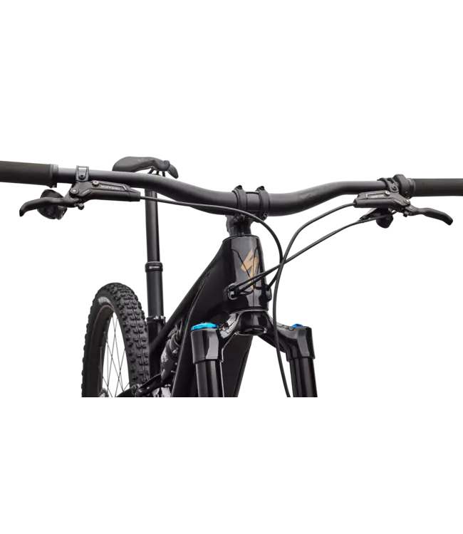 Specialized Turbo Levo R Expert - Gloss Carbon / Burnt Gold Metallic