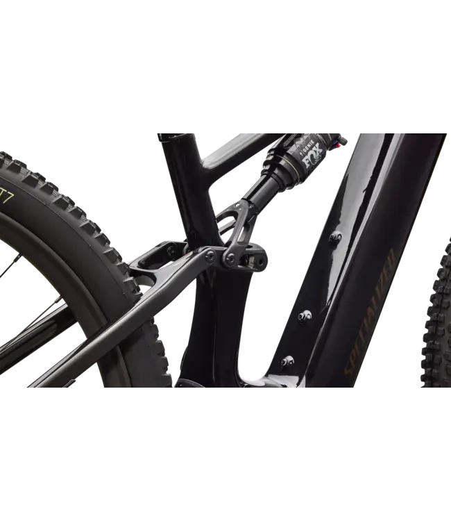 Specialized Turbo Levo R Expert - Gloss Carbon / Burnt Gold Metallic