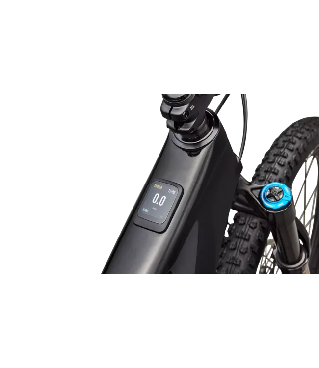 Specialized Turbo Levo R Expert - Gloss Carbon / Burnt Gold Metallic