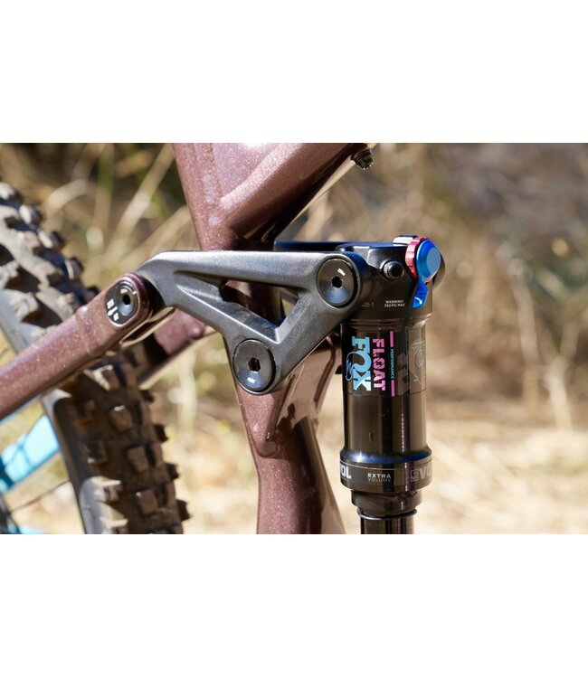 Marin Alpine Trail - Brown / Blue