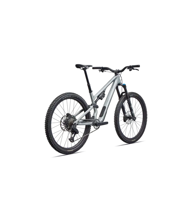Specialized Stumpjumper 15 EVO Comp - Gloss Shadow Silver / Majesty Blue Metallic