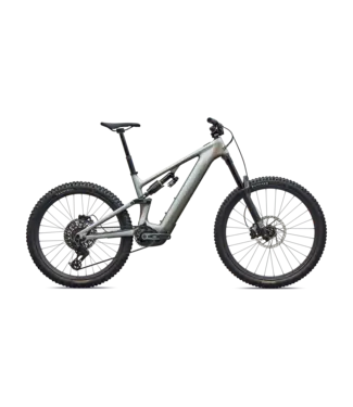 Specialized Levo 4 EVO Pro - Satin Shadow / Silver Dust