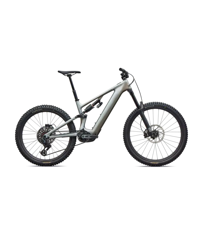 Specialized Levo 4 EVO Pro - Satin Shadow / Silver Dust