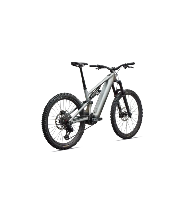 Specialized Levo 4 EVO Pro - Satin Shadow / Silver Dust