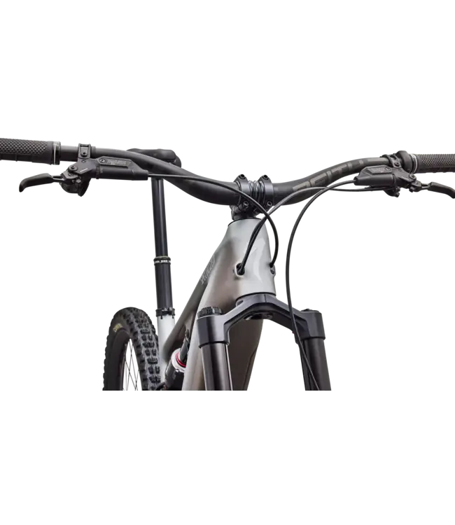 Specialized Levo 4 EVO Pro - Satin Shadow / Silver Dust