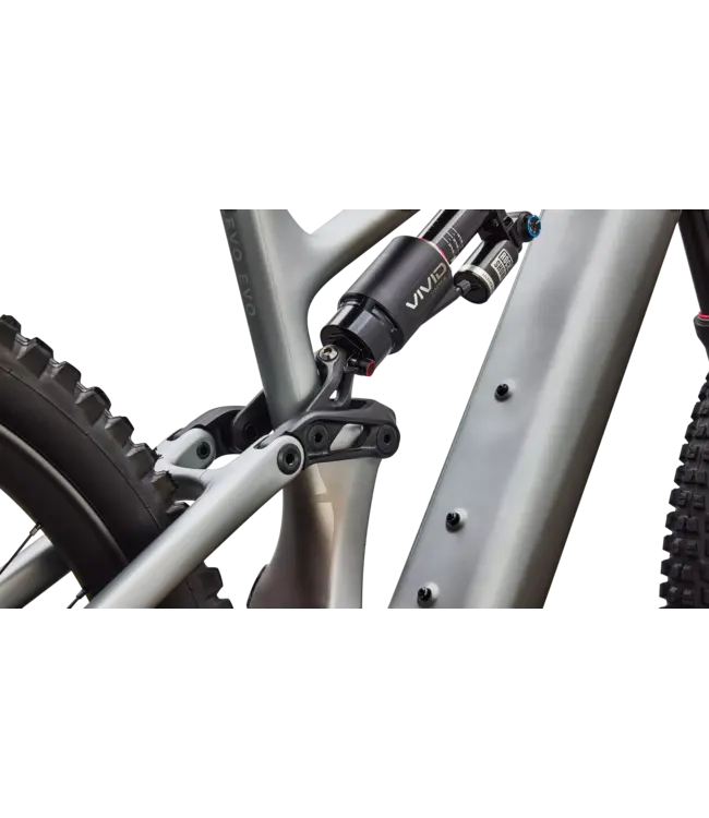 Specialized Levo 4 EVO Pro - Satin Shadow / Silver Dust