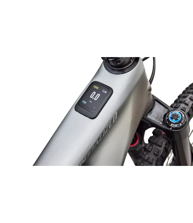 Specialized Levo 4 EVO Pro - Satin Shadow / Silver Dust