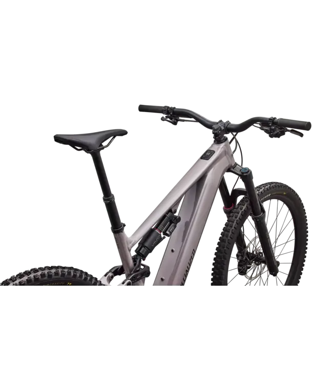 Specialized Levo 4 EVO Comp Alloy - Gloss Desert Metallic / Metallic Obsidian