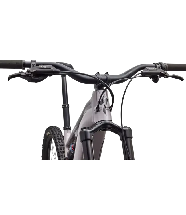 Specialized Levo 4 EVO Comp Alloy - Gloss Desert Metallic / Metallic Obsidian
