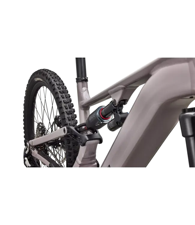 Specialized Levo 4 EVO Comp Alloy - Gloss Desert Metallic / Metallic Obsidian