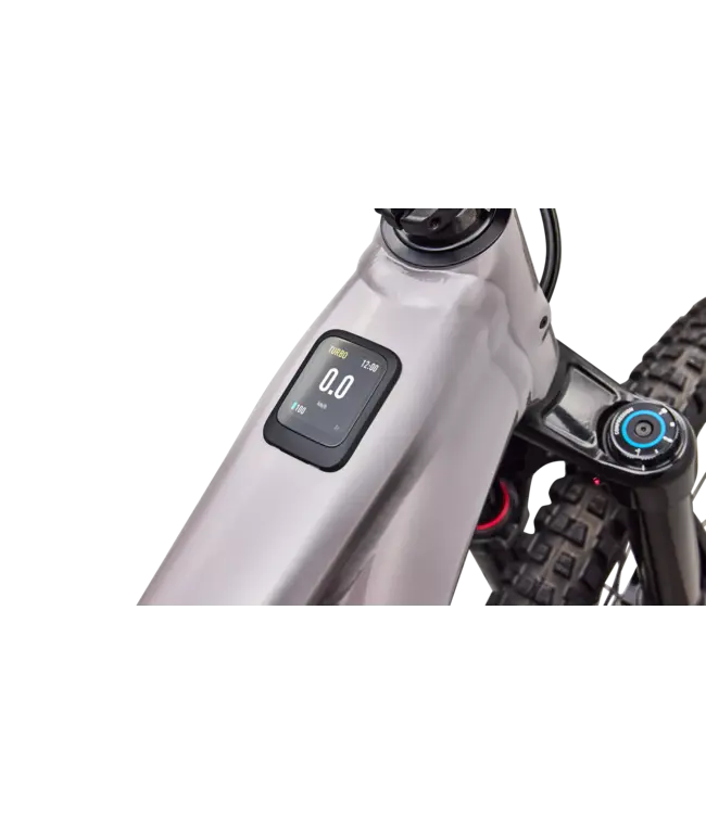 Specialized Levo 4 EVO Comp Alloy - Gloss Desert Metallic / Metallic Obsidian