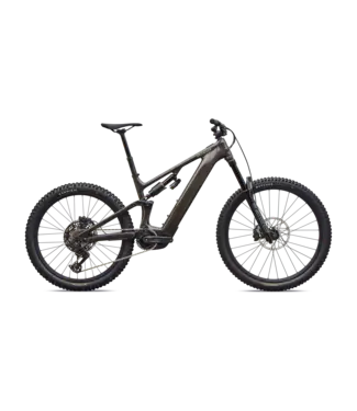 Specialized Levo 4 EVO Comp - Gloss Warm Smoke / Pistachio