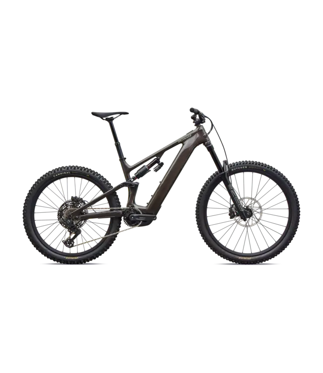 Specialized Levo 4 EVO Comp - Gloss Warm Smoke / Pistachio