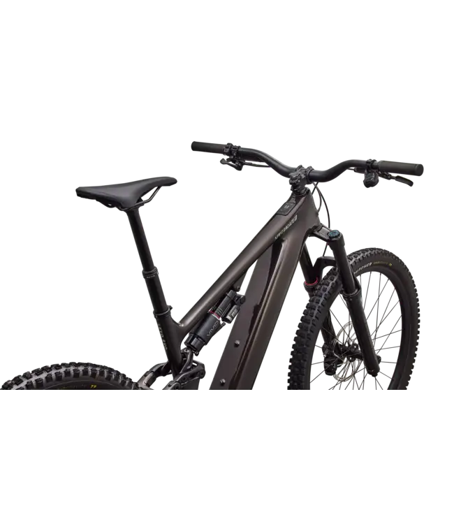 Specialized Levo 4 EVO Comp - Gloss Warm Smoke / Pistachio