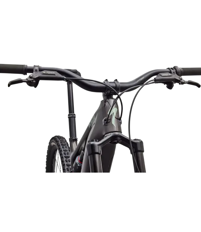 Specialized Levo 4 EVO Comp - Gloss Warm Smoke / Pistachio