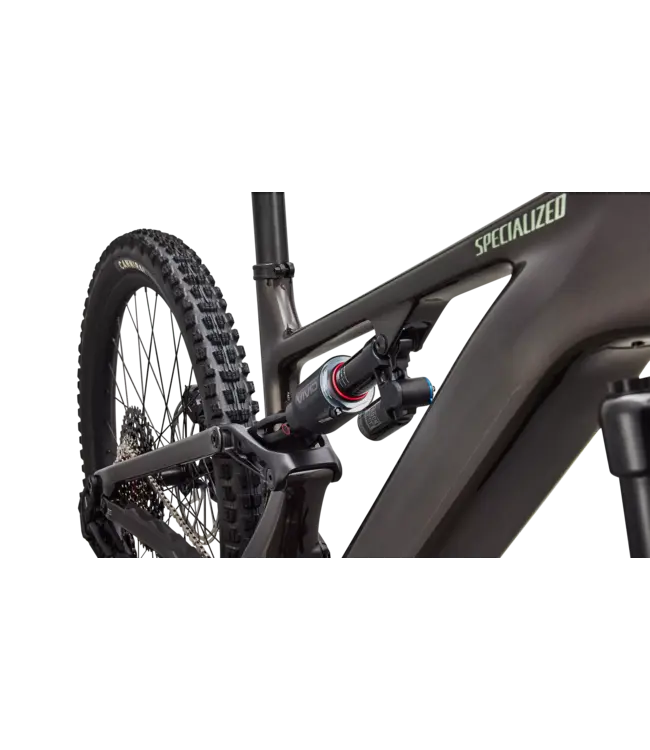 Specialized Levo 4 EVO Comp - Gloss Warm Smoke / Pistachio