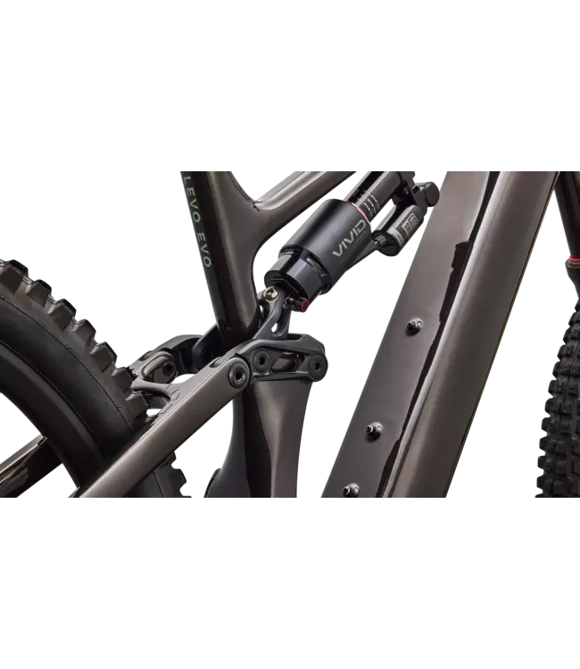 Specialized Levo 4 EVO Comp - Gloss Warm Smoke / Pistachio