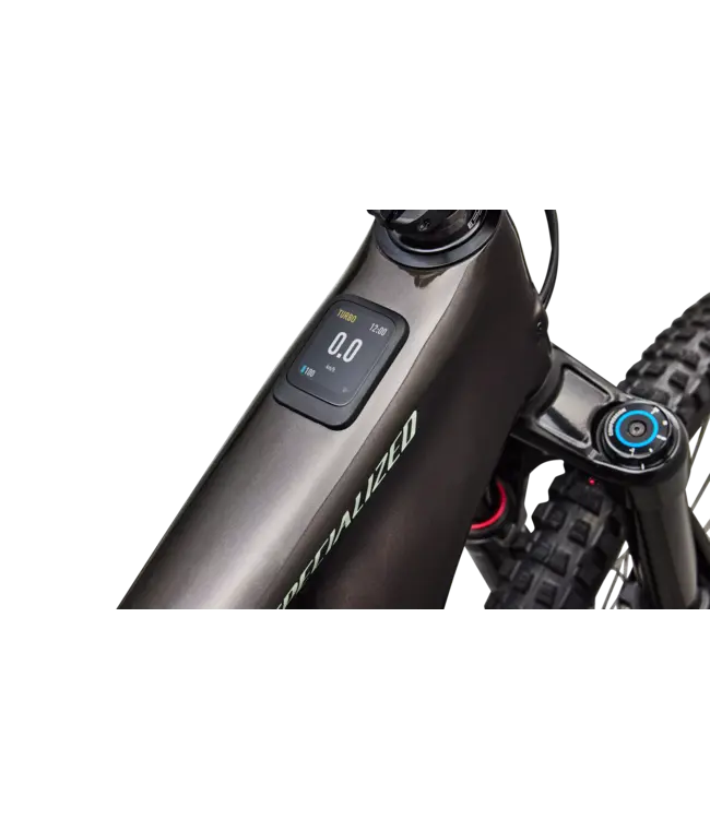 Specialized Levo 4 EVO Comp - Gloss Warm Smoke / Pistachio