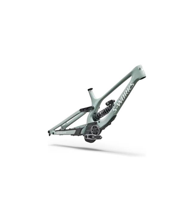 Specialized S-Works Demo 11 Frameset - Gloss Agave Grey / Metallic White Silver