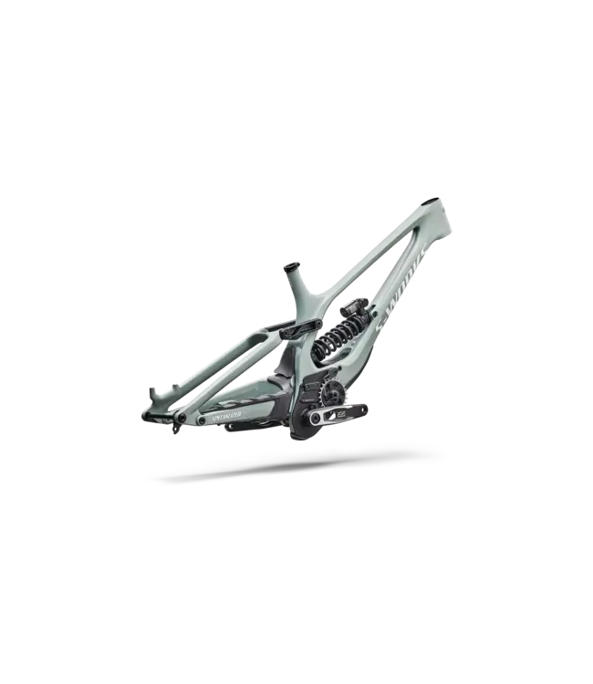 Specialized S-Works Demo 11 Frameset - Gloss Agave Grey / Metallic White Silver