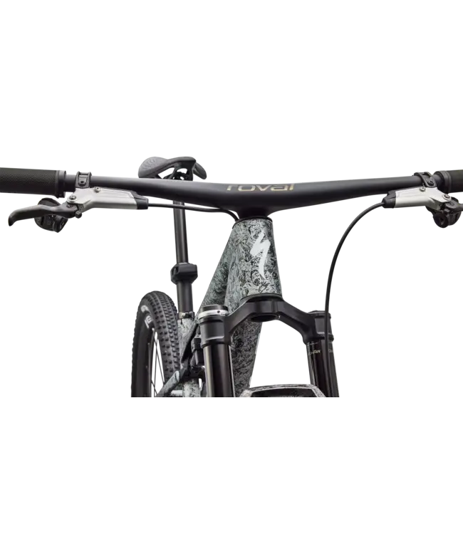 Specialized S-Works Epic 9 - Gloss Metallic Obsidian Multi Color Dry Impasto/ Metallic White Silver