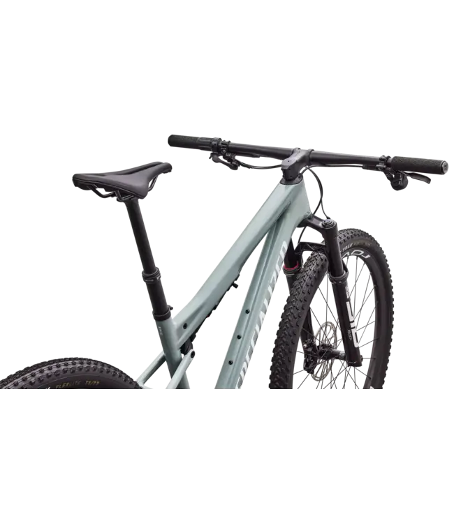 Specialized Epic 9 Expert - Gloss Agave Grey / Metallic White Silver