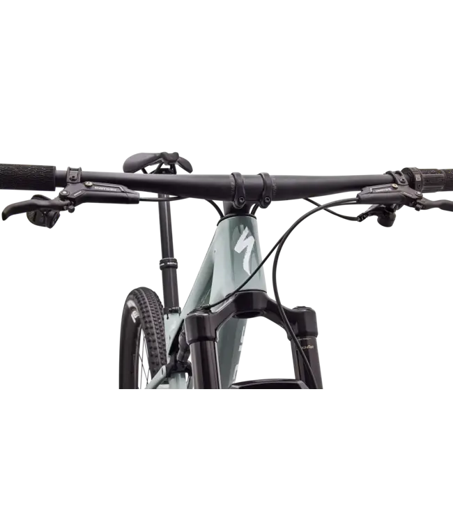 Specialized Epic 9 Expert - Gloss Agave Grey / Metallic White Silver